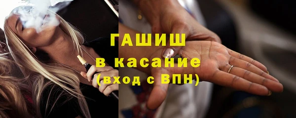 гашик Вяземский