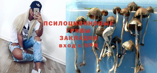 Альфа ПВП Строитель